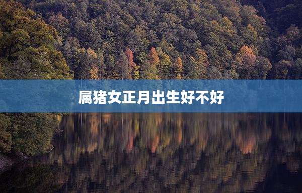 属猪女正月出生好不好