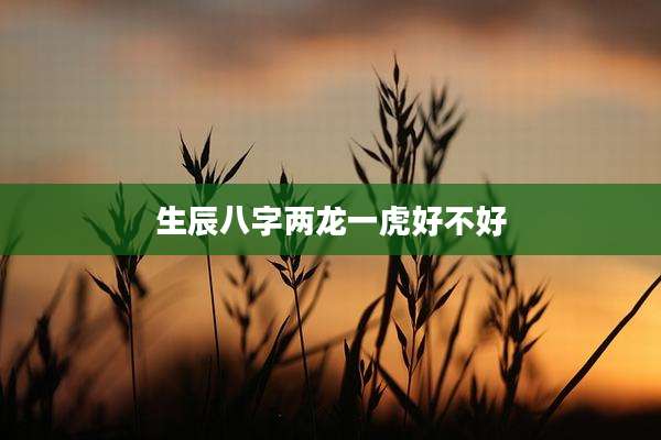 生辰八字两龙一虎好不好
