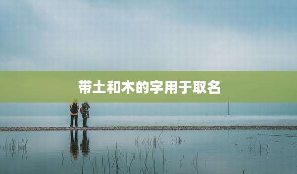 带土和木的字用于取名