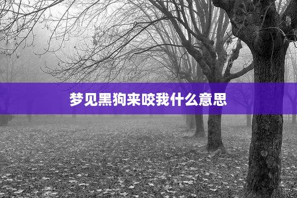 梦见黑狗来咬我什么意思