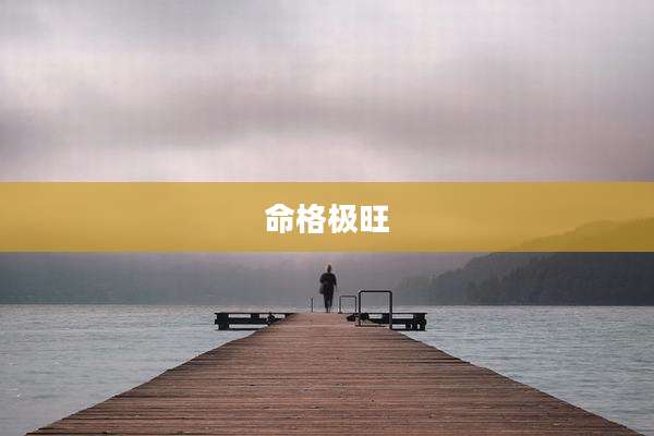 命格极旺