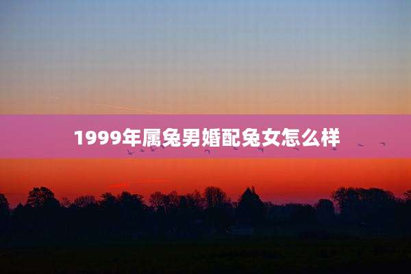 1999年属兔男婚配兔女怎么样