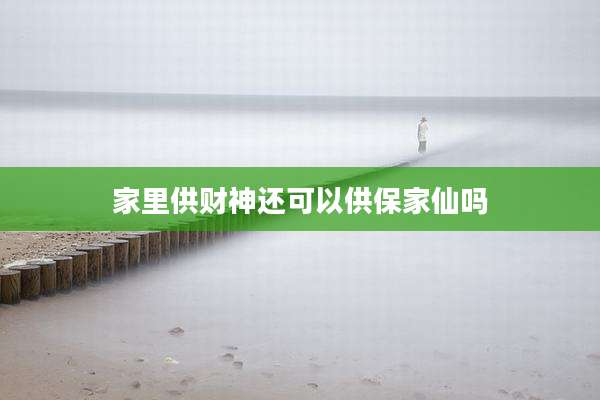 家里供财神还可以供保家仙吗