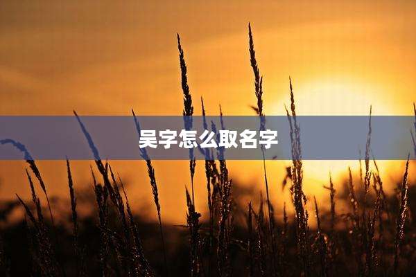 吴字怎么取名字