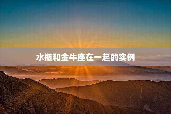 水瓶和金牛座在一起的实例