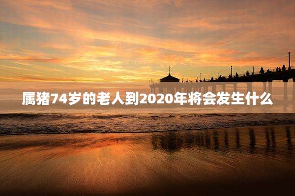 属猪74岁的老人到2020年将会发生什么
