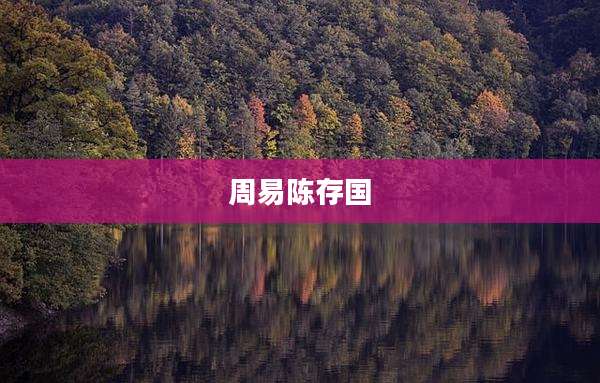 周易陈存国