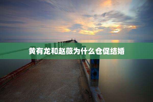 黄有龙和赵薇为什么仓促结婚