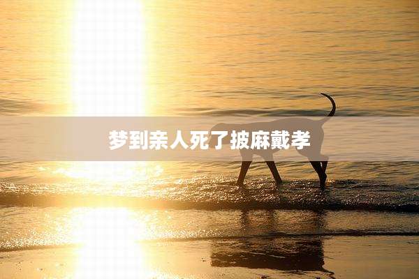 梦到亲人死了披麻戴孝