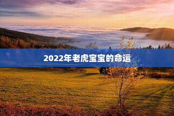 2022年老虎宝宝的命运