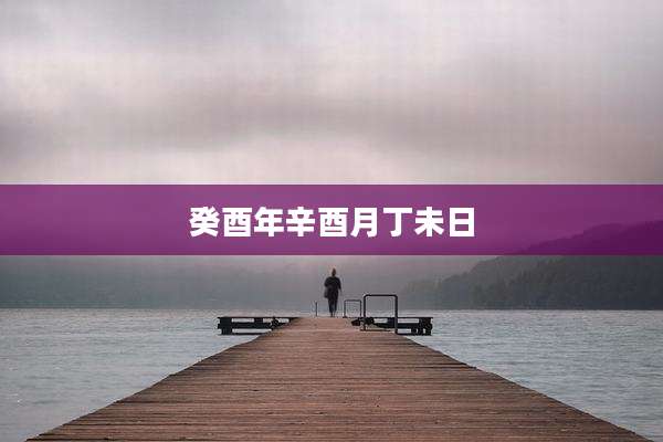癸酉年辛酉月丁未日