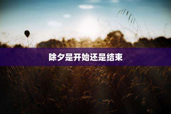 除夕是开始还是结束