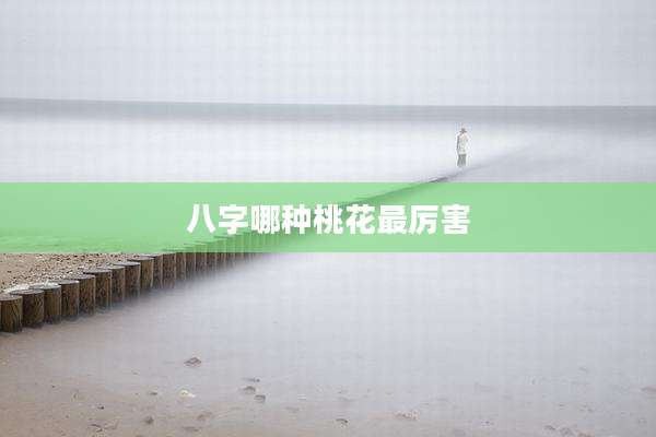 八字哪种桃花最厉害