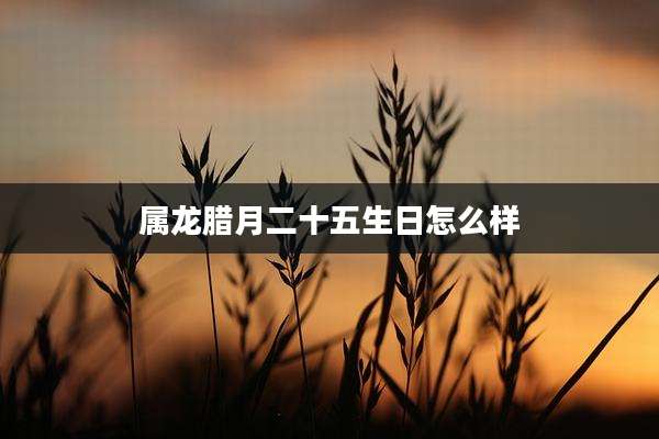 属龙腊月二十五生日怎么样
