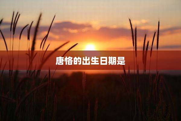 唐恪的出生日期是