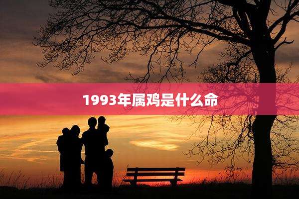 1993年属鸡是什么命