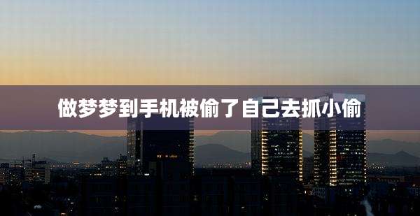 做梦梦到手机被偷了自己去抓小偷