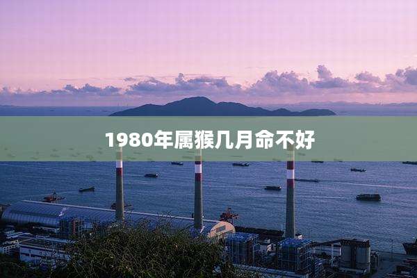 1980年属猴几月命不好