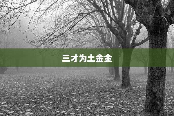 三才为土金金