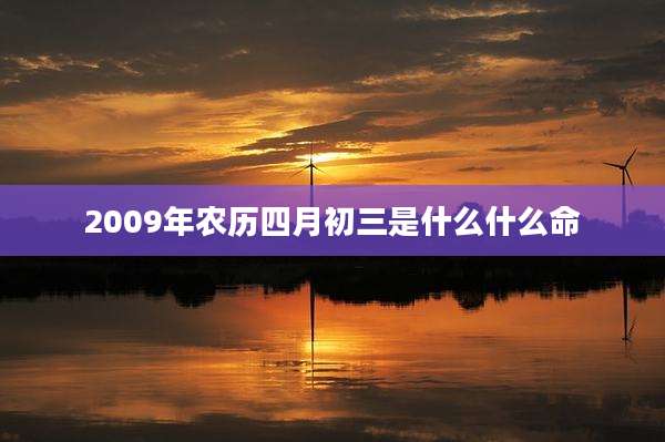 2009年农历四月初三是什么什么命