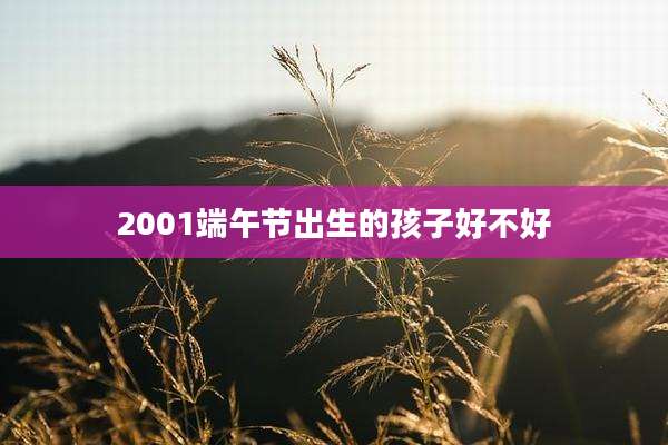 2001端午节出生的孩子好不好