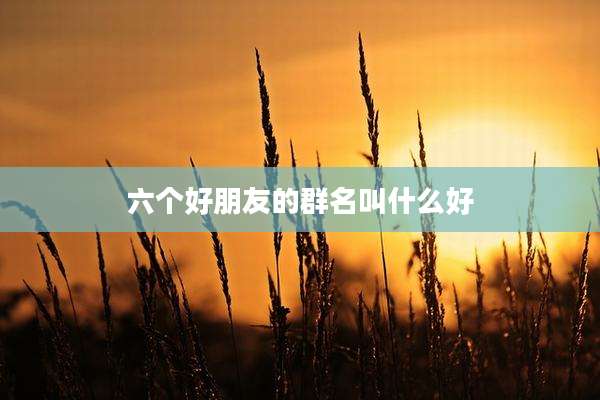 六个好朋友的群名叫什么好