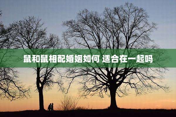 鼠和鼠相配婚姻如何 适合在一起吗