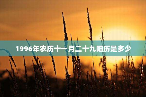 1996年农历十一月二十九阳历是多少