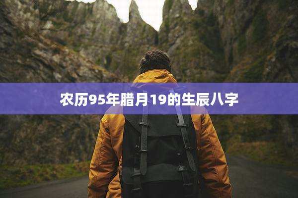 农历95年腊月19的生辰八字