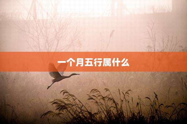 一个月五行属什么