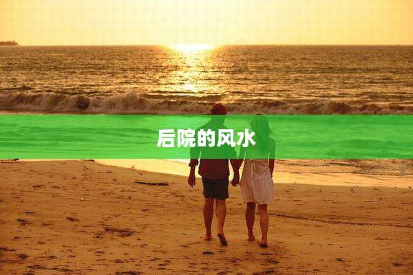 后院的风水