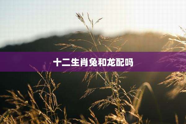 十二生肖兔和龙配吗