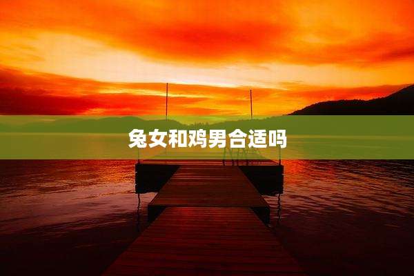 兔女和鸡男合适吗