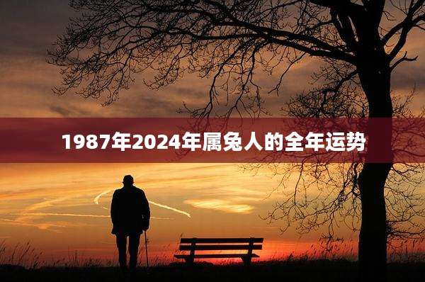 1987年2024年属兔人的全年运势