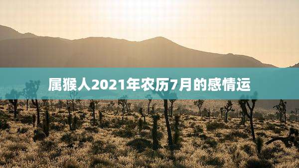 属猴人2021年农历7月的感情运