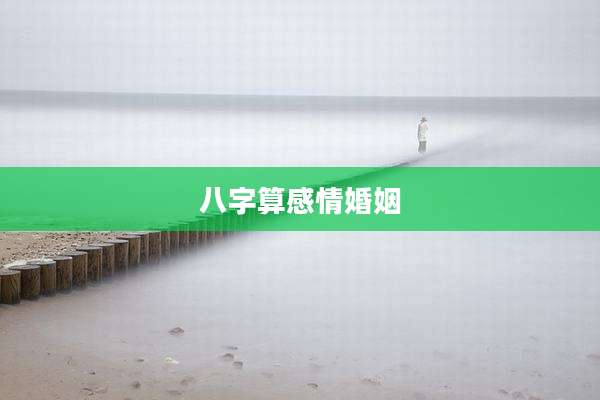 八字算感情婚姻