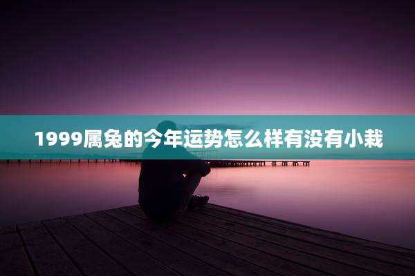 1999属兔的今年运势怎么样有没有小栽