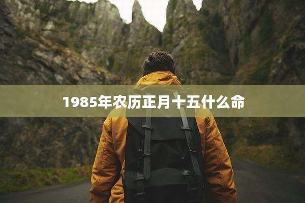 1985年农历正月十五什么命