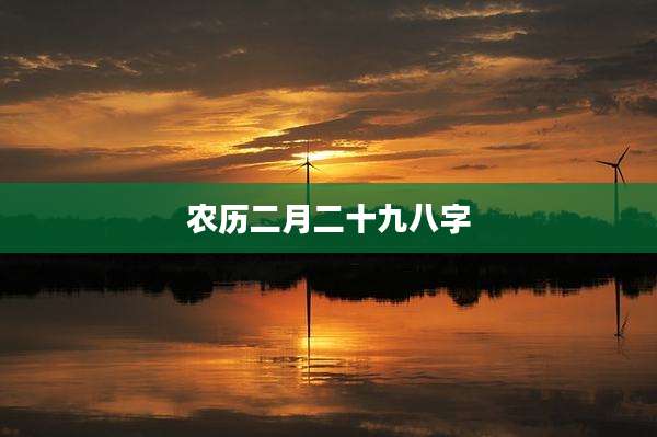 农历二月二十九八字