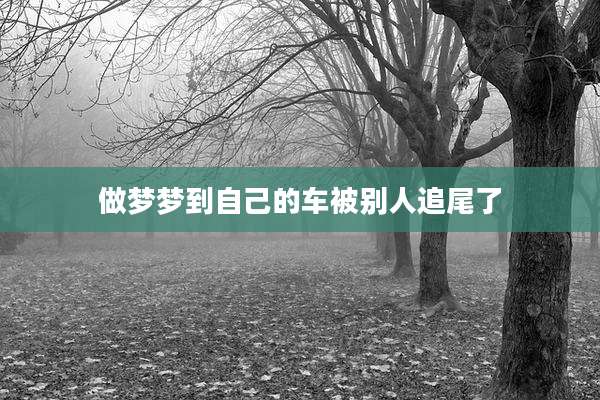 做梦梦到自己的车被别人追尾了