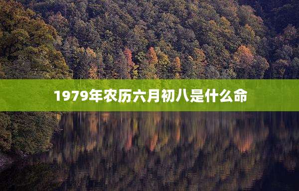 1979年农历六月初八是什么命