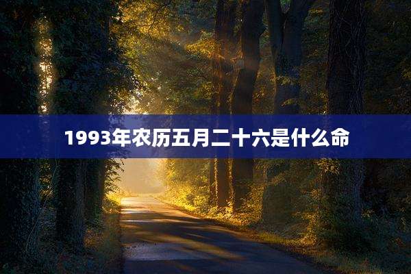 1993年农历五月二十六是什么命