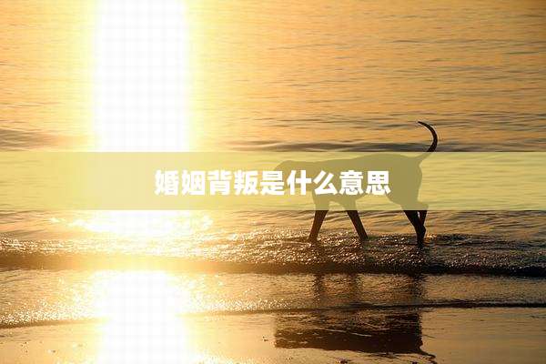 婚姻背叛是什么意思