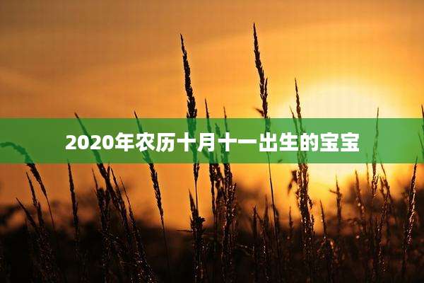 2020年农历十月十一出生的宝宝