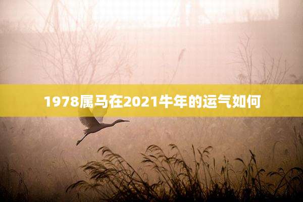 1978属马在2021牛年的运气如何