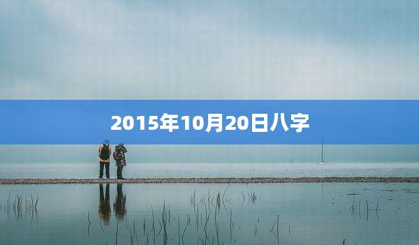 2015年10月20日八字