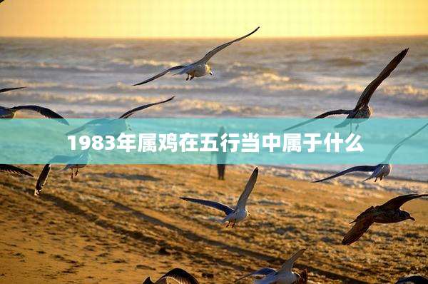 1983年属鸡在五行当中属于什么