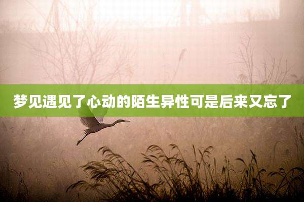 梦见遇见了心动的陌生异性可是后来又忘了