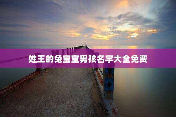 姓王的兔宝宝男孩名字大全免费