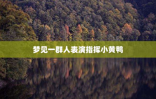 梦见一群人表演指挥小黄鸭